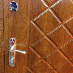 vhodnye-dveri-ekonom-2 vhodnye-dveri-ekonom-2